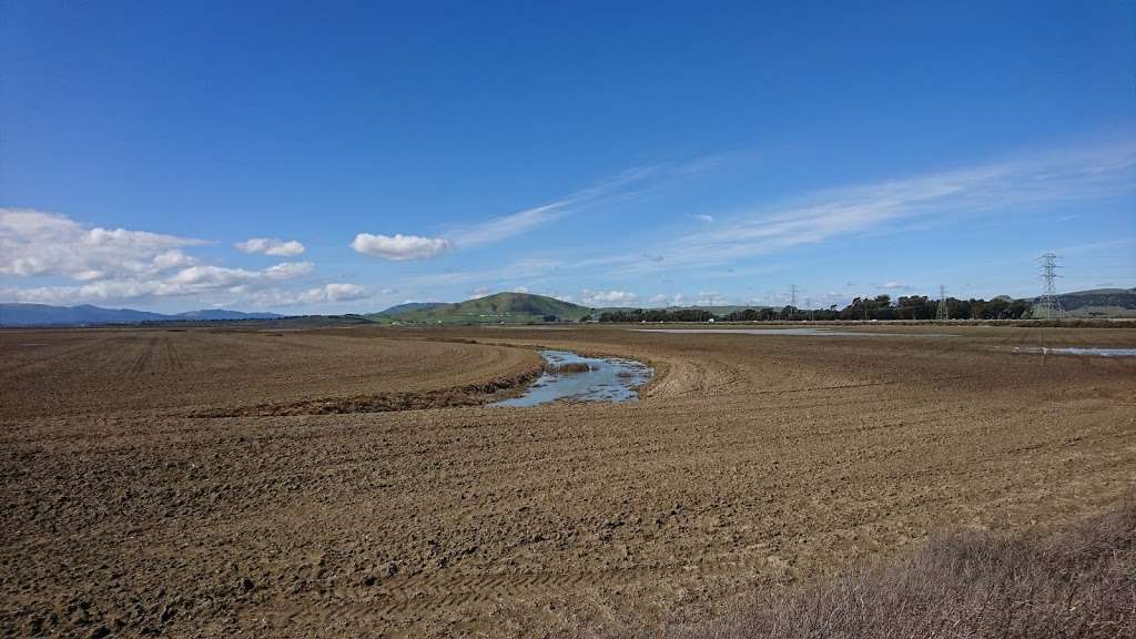 wildlife viewing | 5000 Sears Point Rd, Sonoma, CA 95476, USA