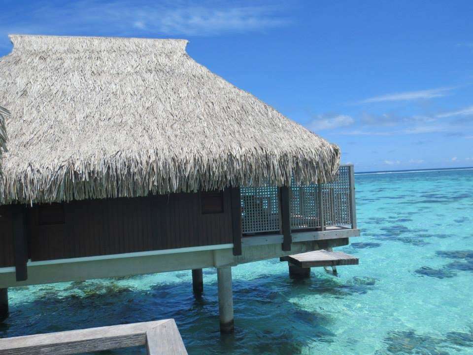 Tahiti Travel Mate | 11383 Winter Cottage Pl, Las Vegas, NV 89135 | Phone: (877) 468-8646