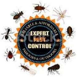 Men in Black Pest Control Services | 6537 Maxwell Dr, Woodridge, IL 60517, USA | Phone: (630) 901-3261