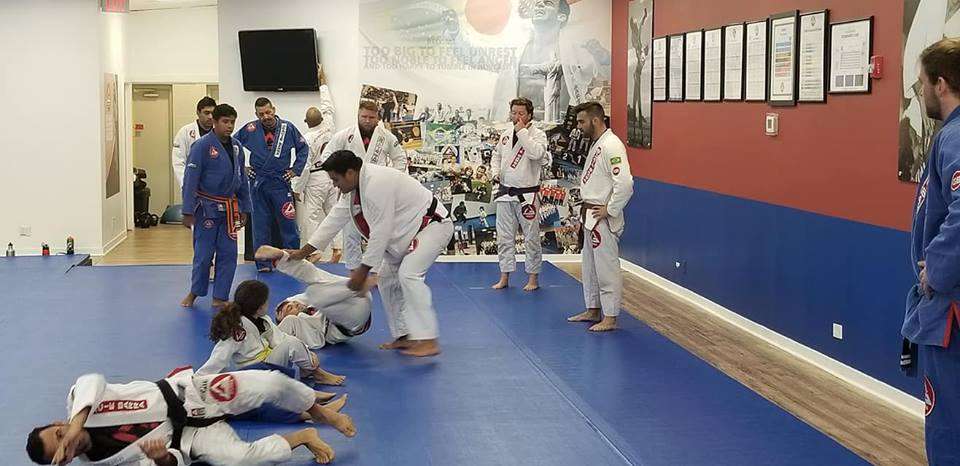 Gracie Barra Brazilian Jiu Jitsu And Fitness Libertyville | 13960 W Rockland Rd, Libertyville, IL 60048, USA | Phone: (224) 818-6155