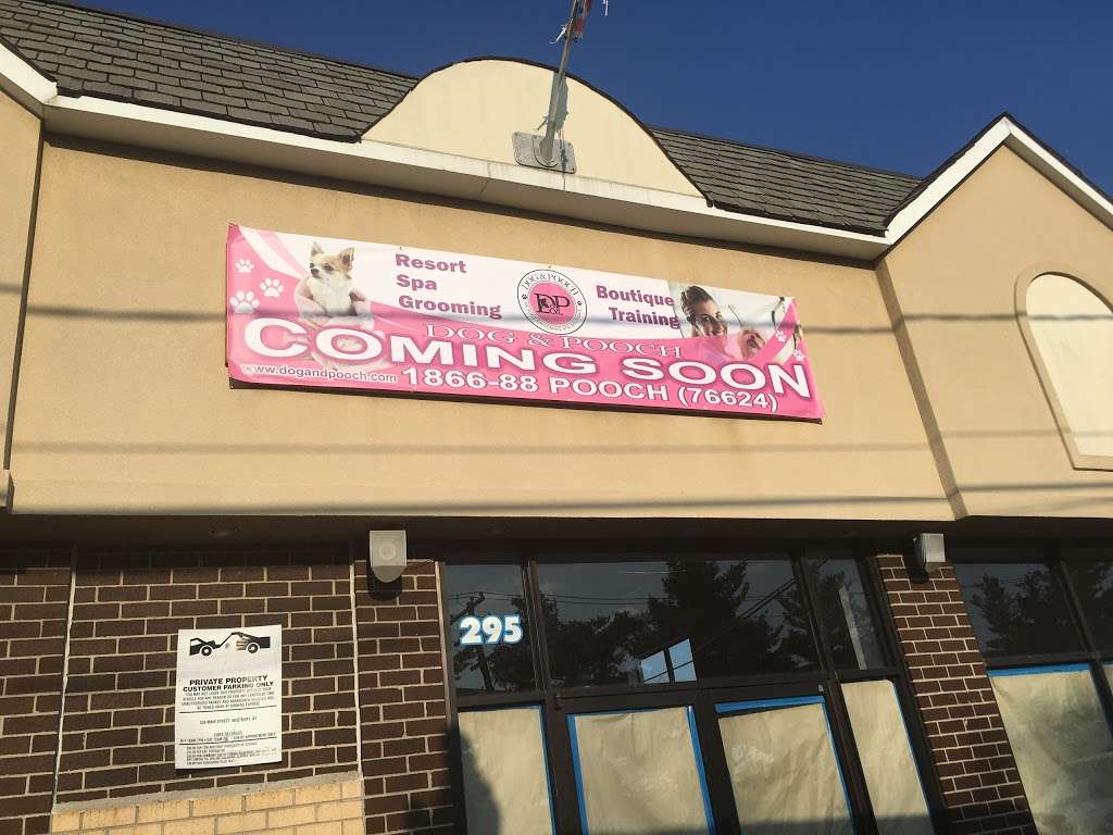 Dog & Pooch | 295 Robbins Ln, Syosset, NY 11791, USA | Phone: (516) 726-1232