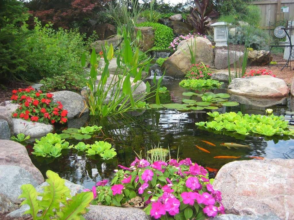 Signature Pond & Patio | 37 E Penn Ave, Wernersville, PA 19565, USA | Phone: (610) 374-8281