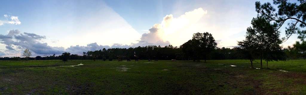 Deep Creek Stables | 2270 S Co Rd 3, Pierson, FL 32180, USA | Phone: (386) 985-0520