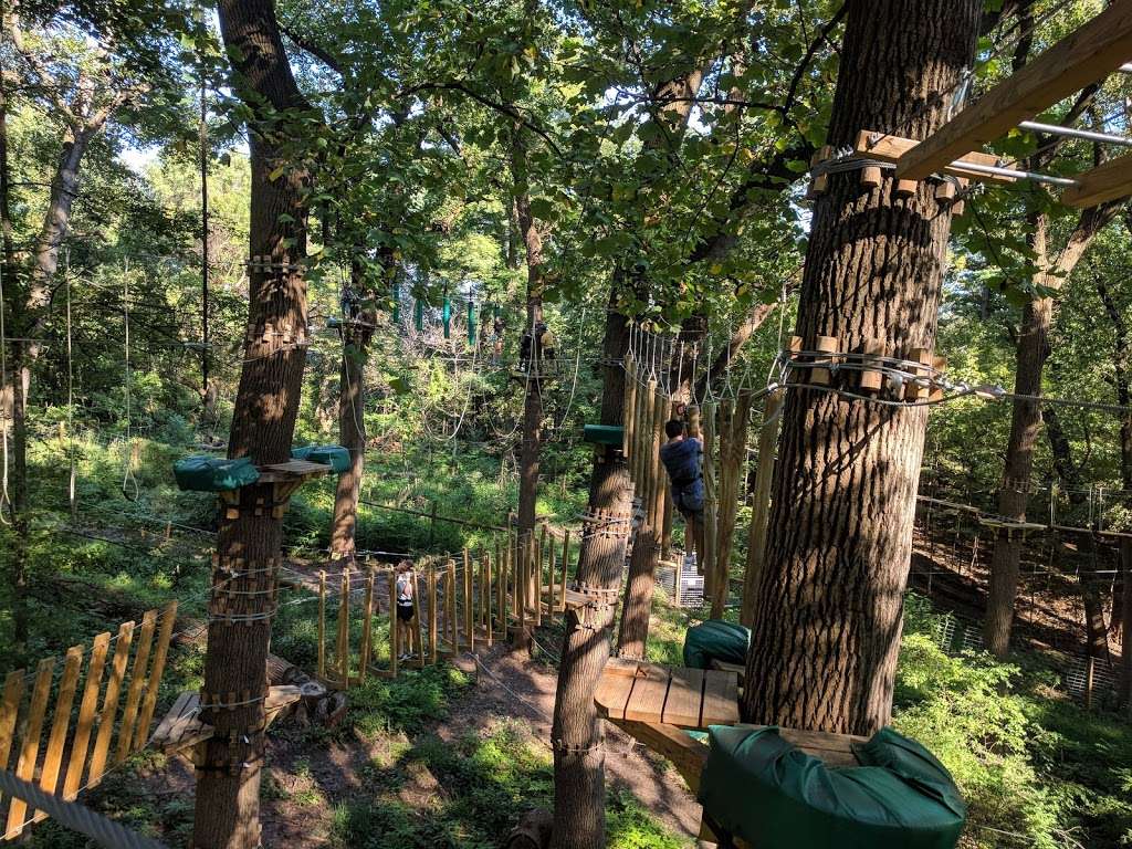 Treetop Quest Philly | 51 Chamounix Dr, Philadelphia, PA 19131, USA | Phone: (267) 901-4145