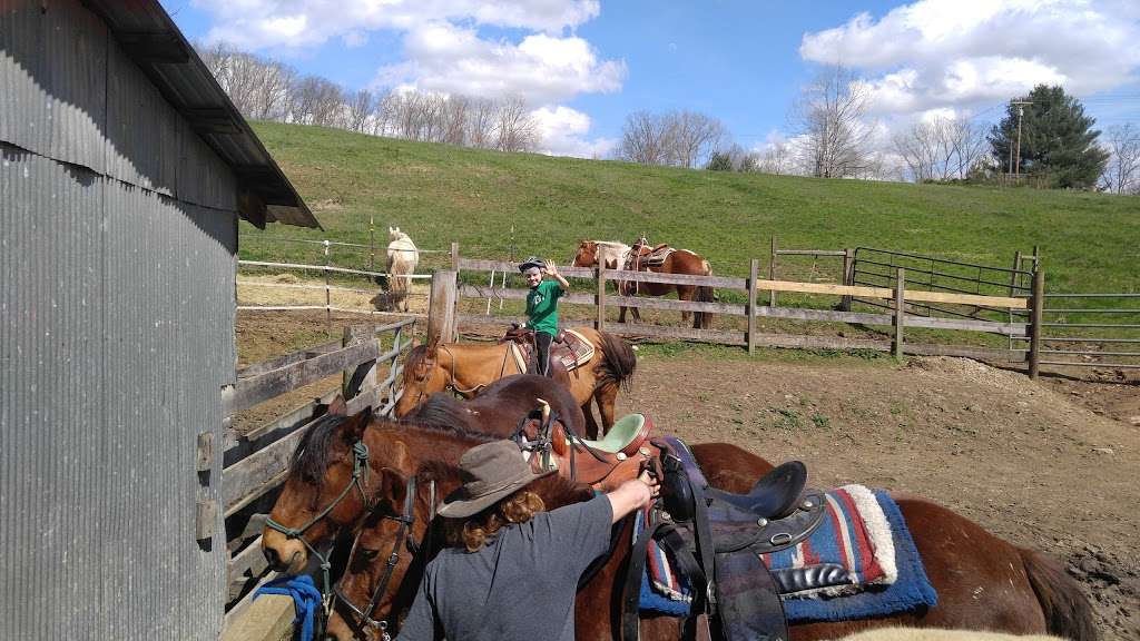 Schooner Valley Stables | 2282 State Rd 46, Nashville, IN 47448, USA | Phone: (812) 988-2859