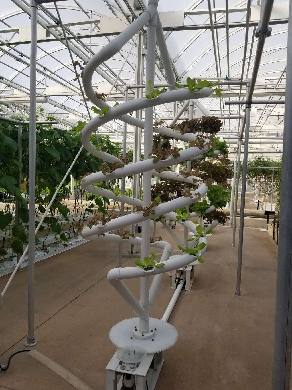 Behind The Seeds Greenhouse Tour | 1510 Avenue of the Stars, Orlando, FL 32836, USA | Phone: (407) 939-8687