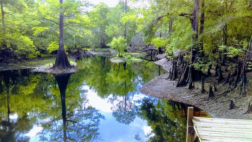 Green Swamp Wilderness Preserve | 28057 State Route 471, Webster, FL 33597, USA | Phone: (352) 796-7211