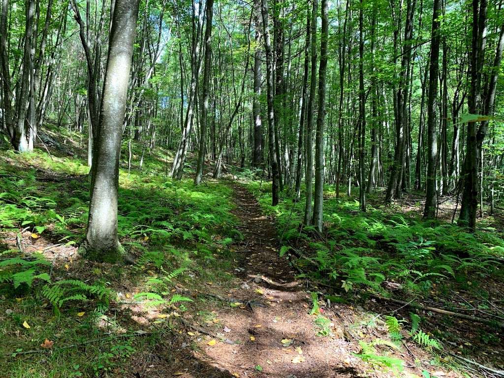 Mt Pisgah Bennett Trail Parking | 514-720 Lyman Rd, Northborough, MA 01532, USA