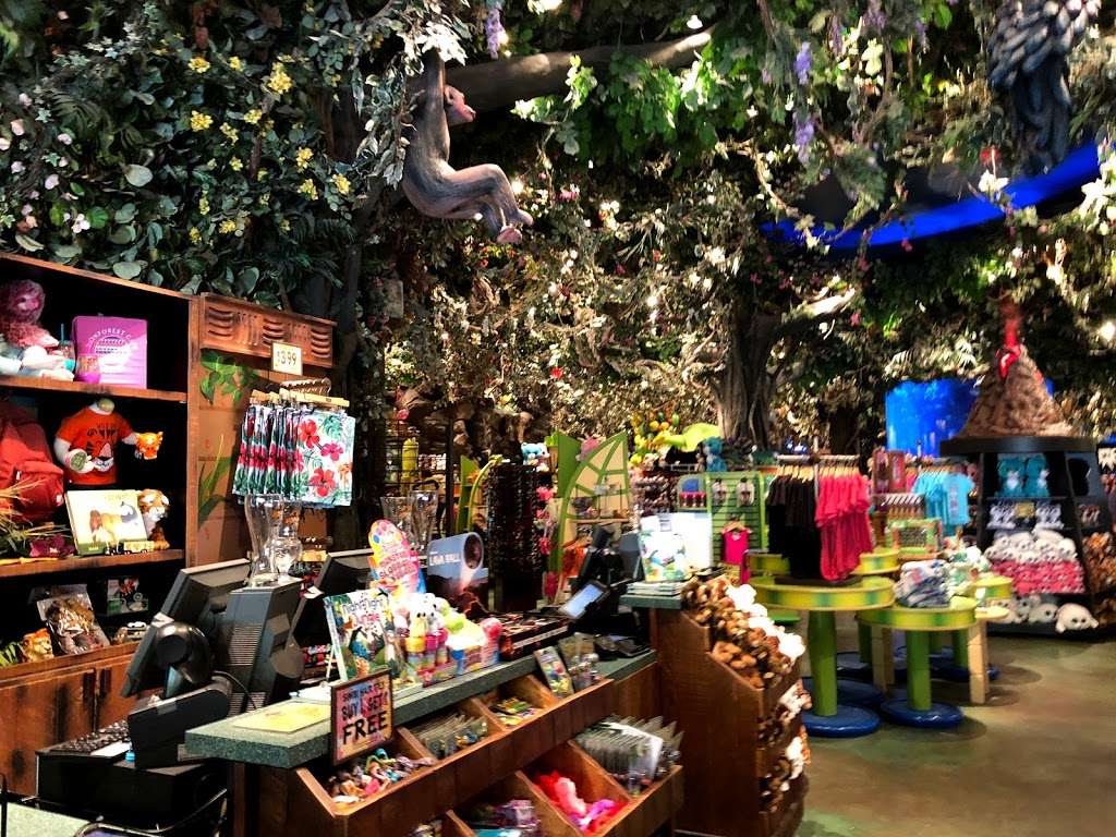 Rainforest Cafe | 505 Rain Forest Rd, Lake Buena Vista, FL 32830, USA | Phone: (407) 938-9100