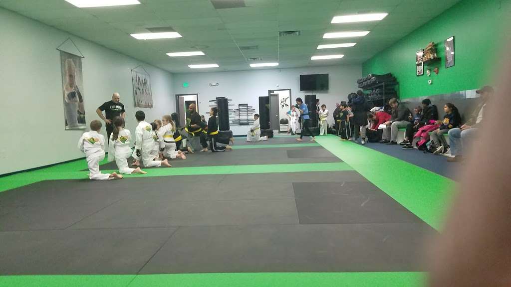 Premier Martial Arts | 14508 Smoketown Rd, Woodbridge, VA 22192 | Phone: (571) 398-0848