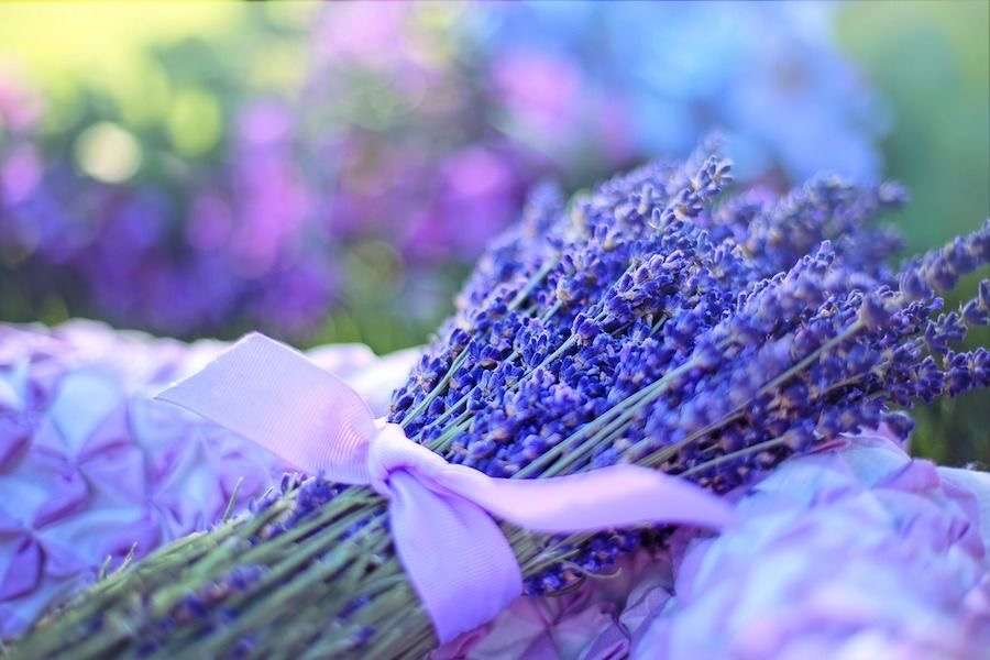 Air-Scent Services | 15811 Collins Ave Suite 806, Sunny Isles Beach, FL 33160, USA | Phone: (305) 747-8804 Air-Scent Services | 15811 Collins Ave Suite 806, Sunny Isles Beach, FL 33160, USA | Phone: (305) 747-8804