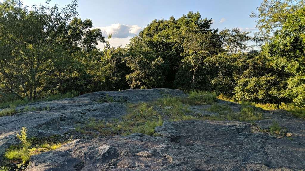 Whipple Hill Summit | Lexington, MA 02420, USA