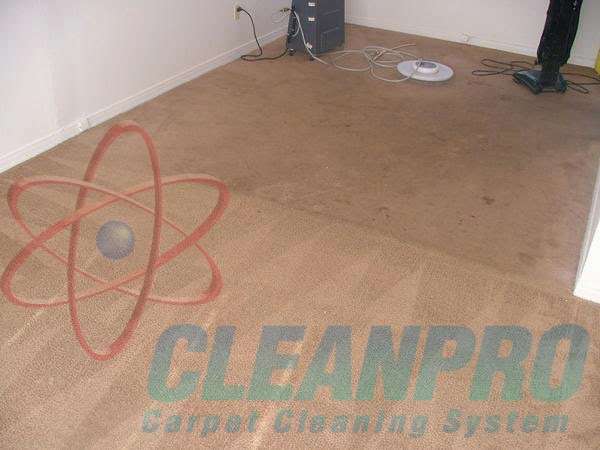 Loudoun Cleanpro, LLC - Carpet Cleaner | Buttonwood Ter NE, Leesburg, VA 20176 | Phone: (703) 999-2407