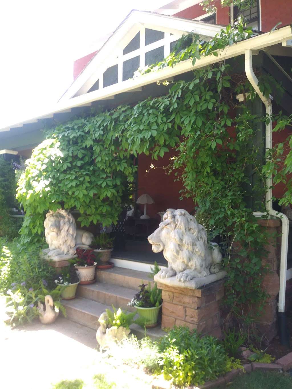 Affordable pro window washer | 305 15th Ave, Longmont, CO 80501, USA | Phone: (303) 961-0039