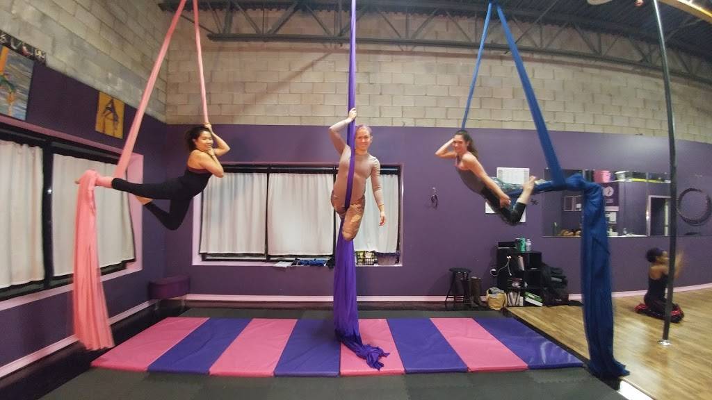 Aerial Dragonfly Movement Studio | 3025 Hilton Rd, Ferndale, MI 48220, USA | Phone: (248) 509-5315