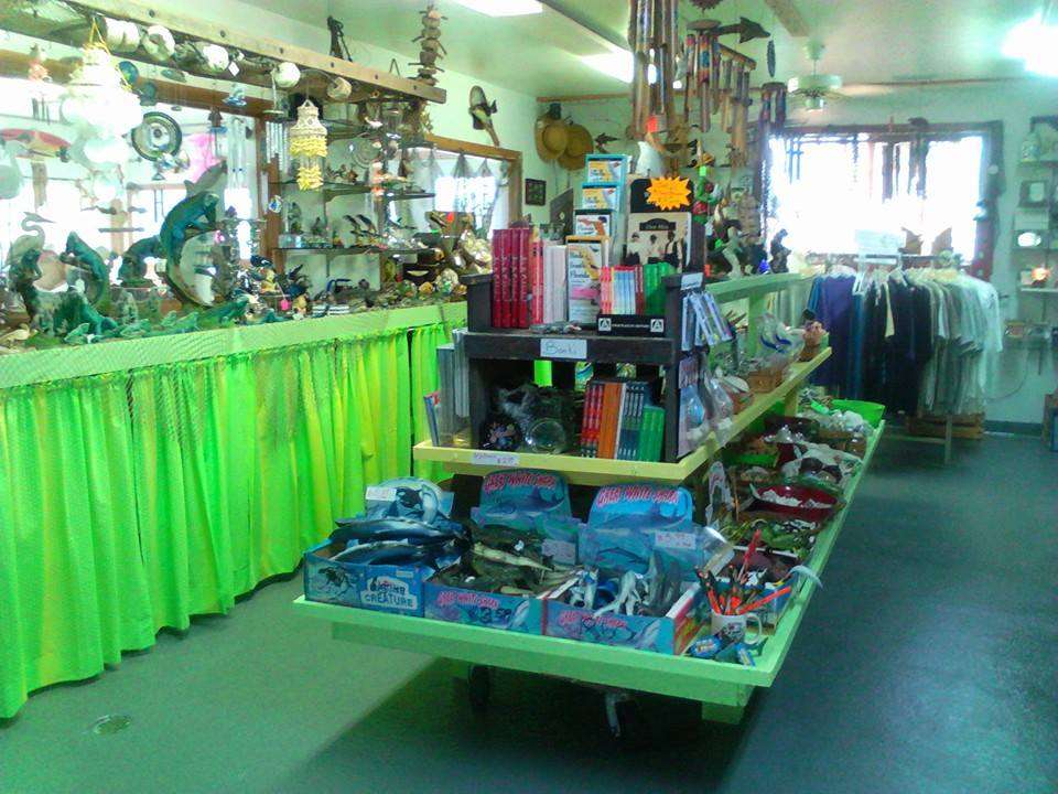 Scragg Grove and Gift Shop | 275 N Us Highway 1, Oak Hill, FL 32759 | Phone: (386) 345-3819