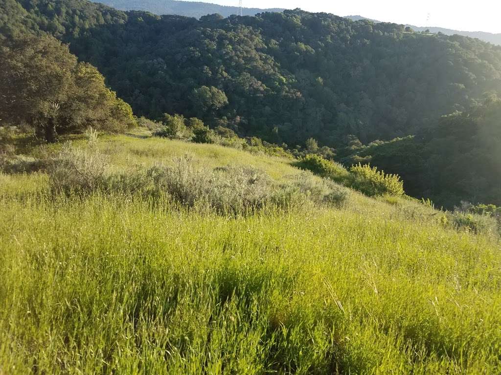 Pulgas Ridge Open Space Preserve | Redwood City, CA 94062, USA | Phone: (650) 691-1200