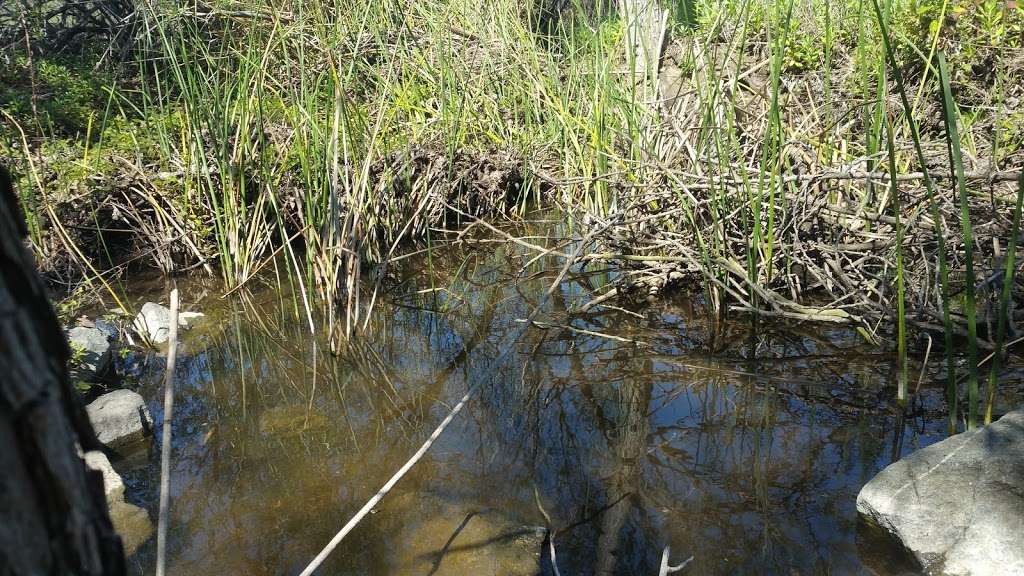 Turtle Rock Preserve and Trail | University Trail, Irvine, CA 92612, USA