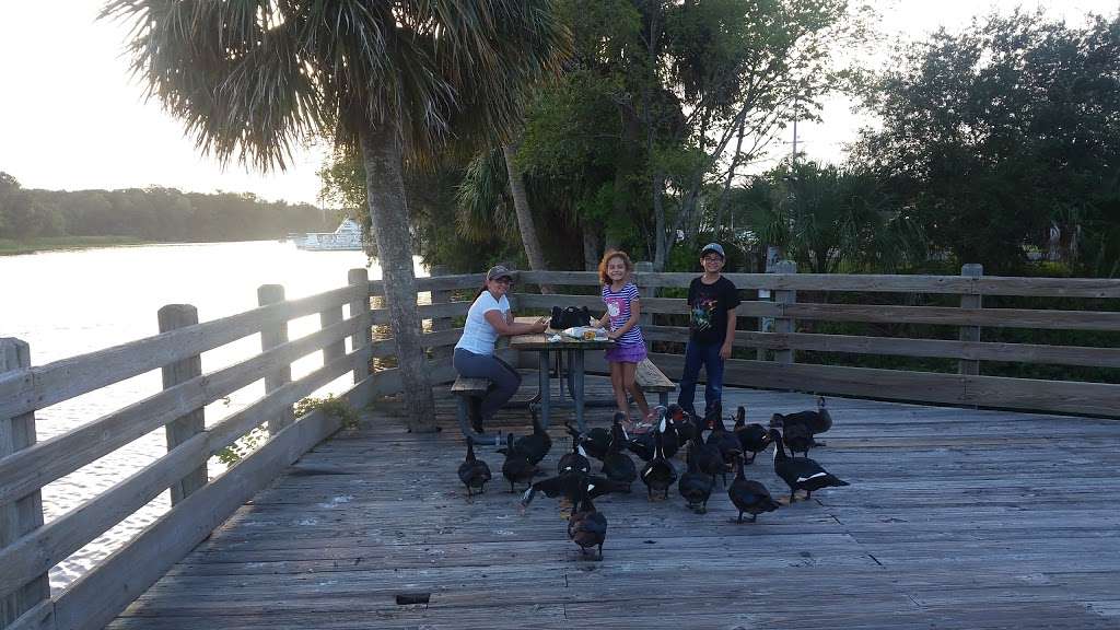 Ed Stone Park and Boat Ramp | 2990 FL-44, DeLand, FL 32724, USA | Phone: (386) 736-2700