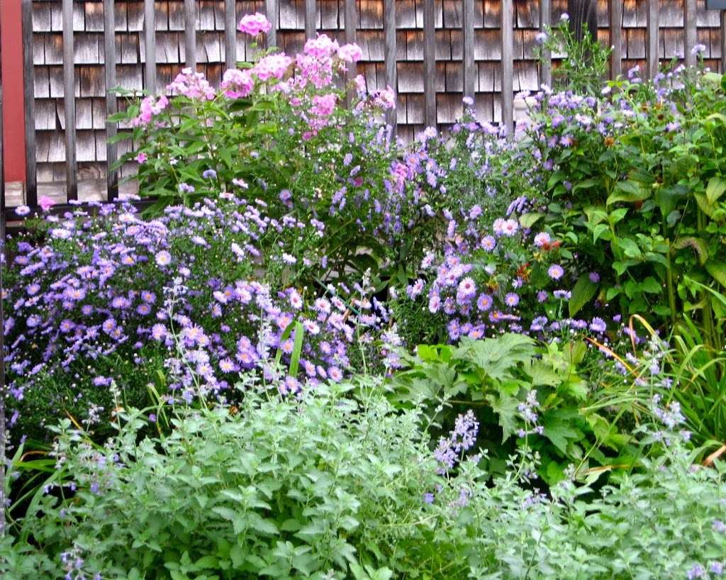 Forget-Me-Not Garden Services | 78 Western Ave, Essex, MA 01929, USA | Phone: (978) 768-7160