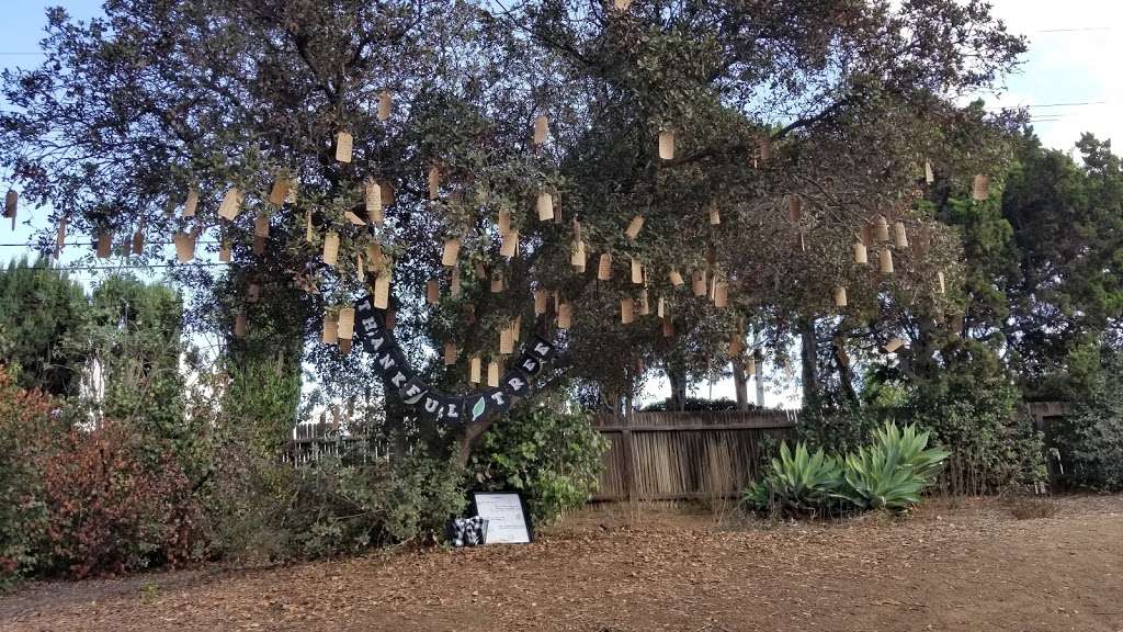 Thankful Tree - Laguna Lake, Fullerton, CA | 501-503 Lakeside Dr, Fullerton, CA 92835, USA