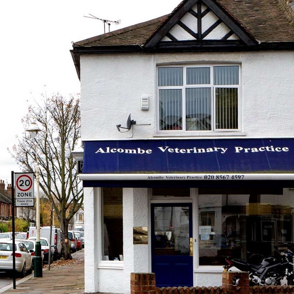 Alcombe Veterinary Surgery | 160 Northfield Ave, London W13 9SB, UK | Phone: 020 8567 4597