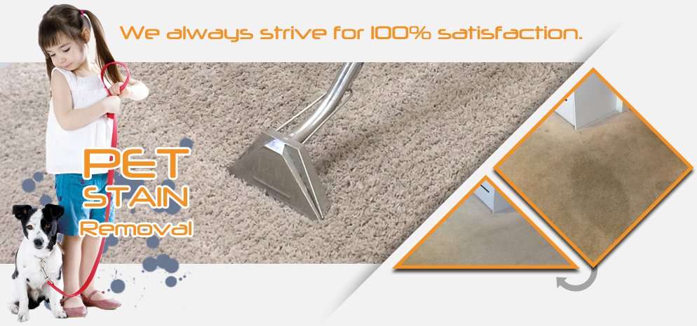 Irving Carpet Cleaning | 6631 N Belt Line Rd, Irving, TX 75063 | Phone: (972) 244-3752