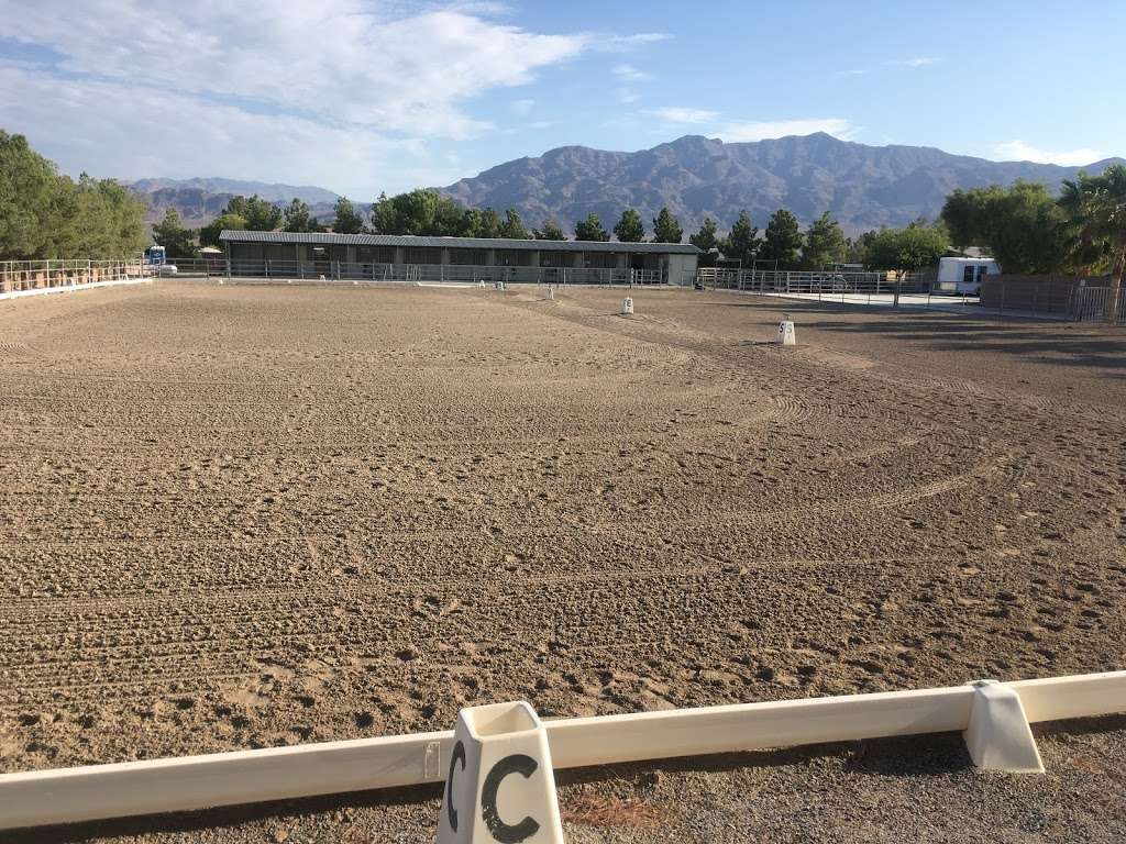 Dressage Las Vegas TPD Boarding Training | 6380 Maggie Ave, Las Vegas, NV 89131 | Phone: (702) 767-0382