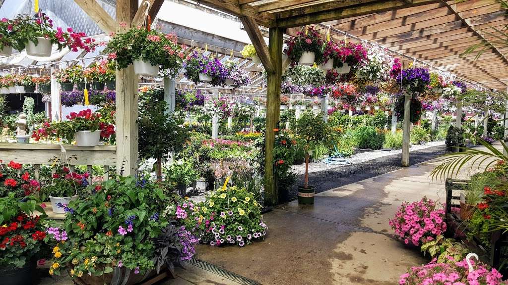 Hollandia Nurseries | 103 Old Hawleyville Rd, Bethel, CT 06801 | Phone: (203) 743-0267