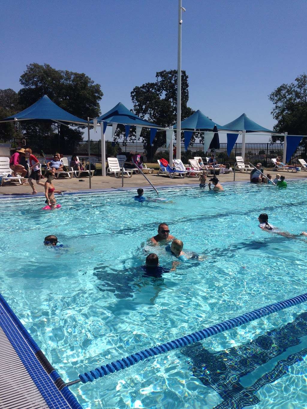 Hamilton Community Pool | 203 El Bonito Dr, Novato, CA 94949 | Phone: (415) 883-7126