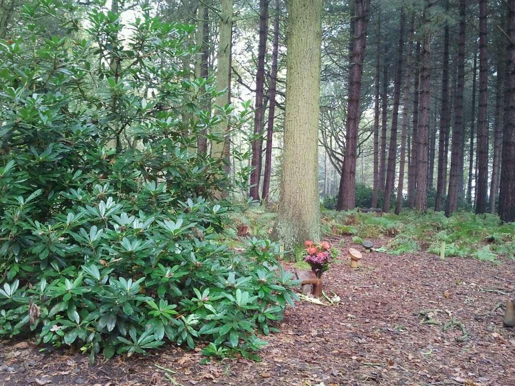 GreenAcres Woodland Burials | North Weald Bassett, Epping CM16 6AB, UK | Phone: 01992 523863