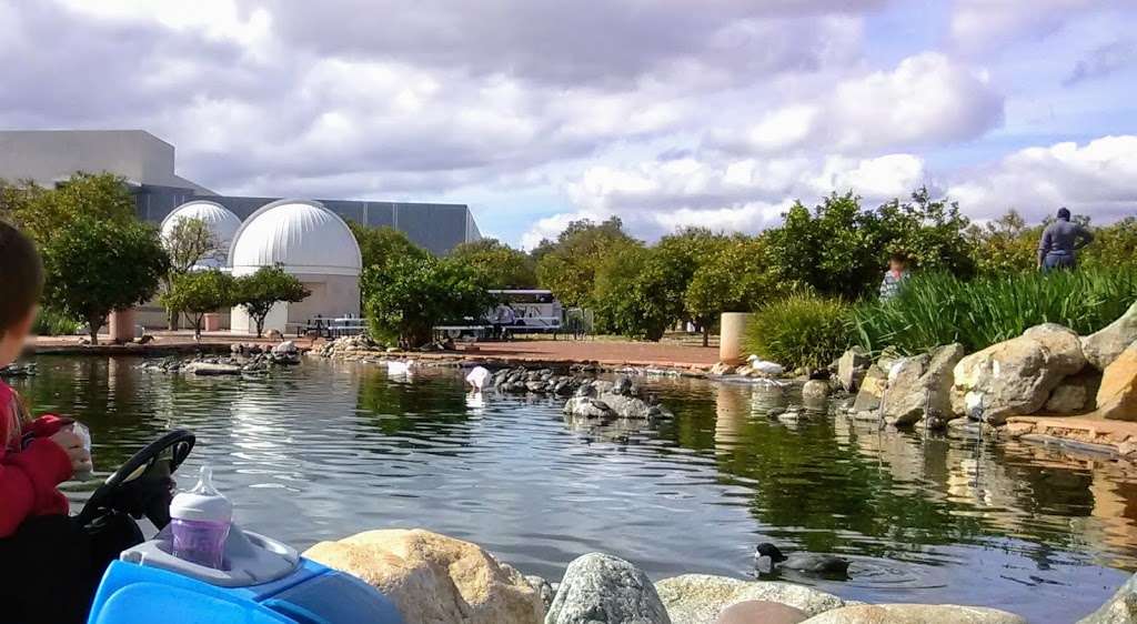 CSUN Duck Pond | Orange Grove - Haskell Walk, Los Angeles, CA 91325