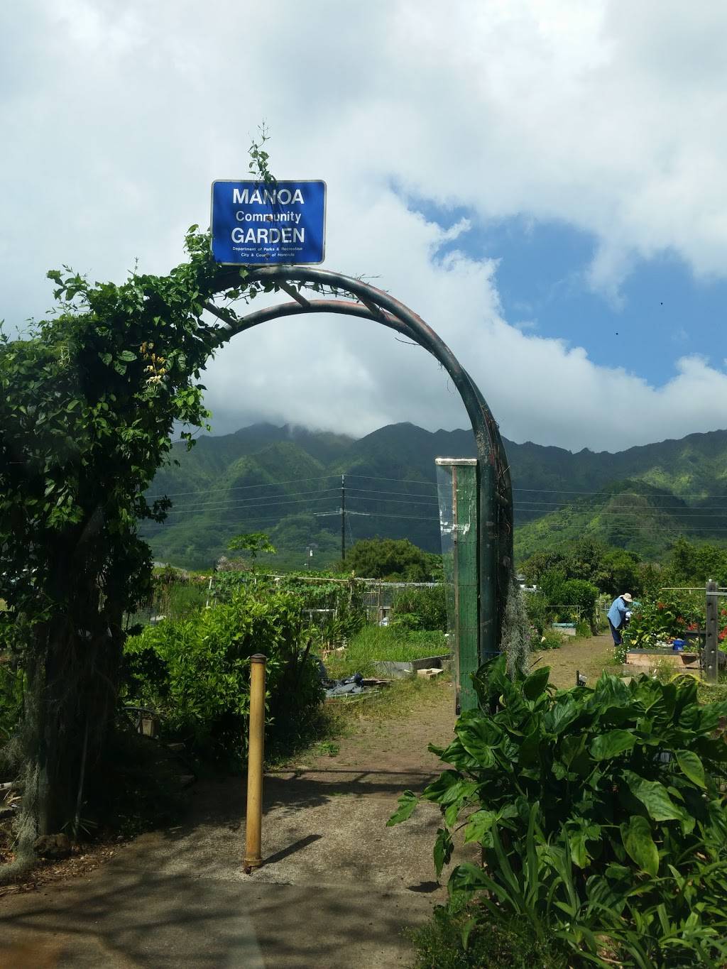 Mānoa Community Garden | Olopua St, Honolulu, HI 96822, USA | Phone: (808) 522-7063