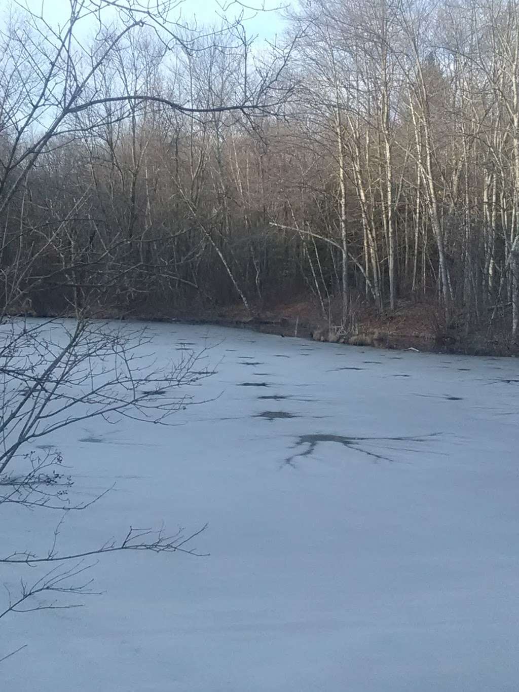 The Nature Conservancy Lake Mineola Marsh Preserve | Silver Valley Rd, Brodheadsville, PA 18322, USA | Phone: (570) 643-7922