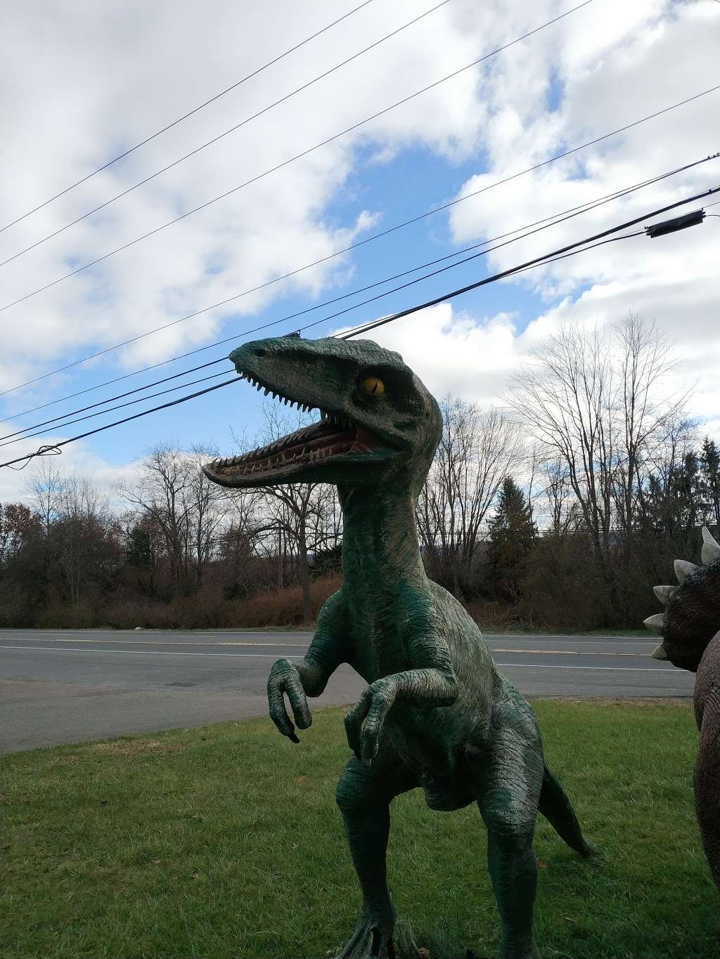 Bills Dinosaurs | Bloomsburg, PA 17815, USA