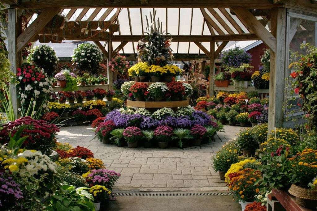 Hollandia Nurseries | 103 Old Hawleyville Rd, Bethel, CT 06801 | Phone: (203) 743-0267