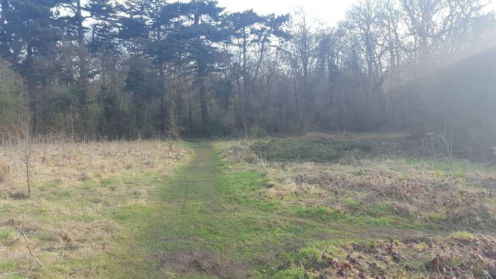 Scadbury Park Nature Reserve | 30 Old Perry St, Chislehurst BR7 6PT, UK | Phone: 0300 303 8658