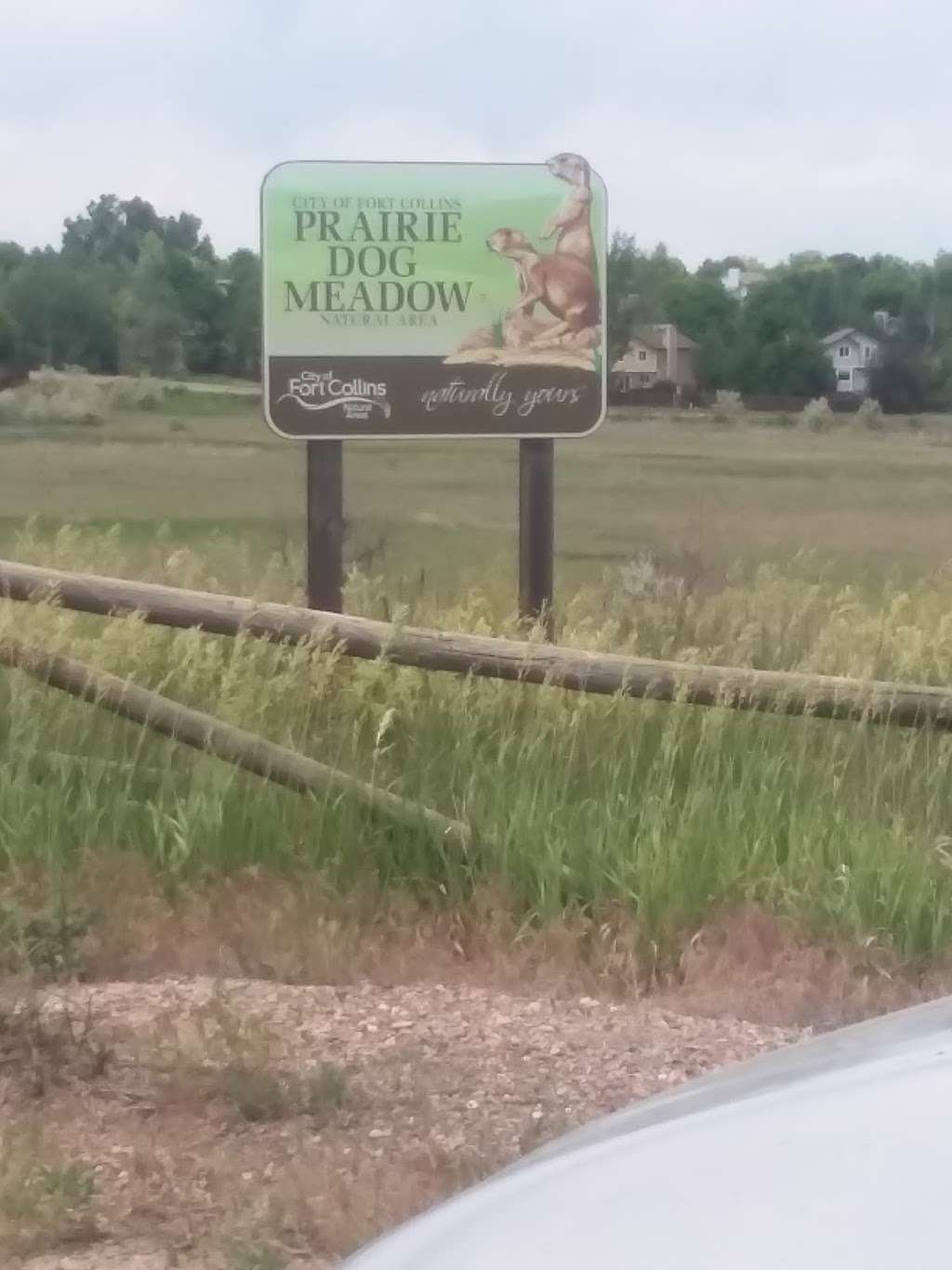 Prairie Dog Meadow Natural Area | 6208 Kyle Ave, Fort Collins, CO 80525, USA | Phone: (970) 416-2815