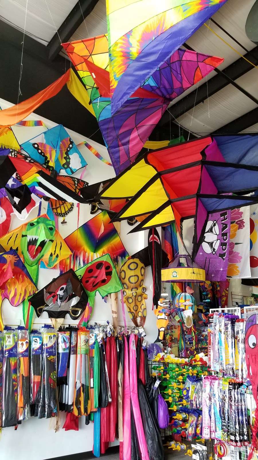 Kites Unlimited | 8910 Seawall Blvd, Galveston, TX 77554, USA | Phone: (409) 744-4121