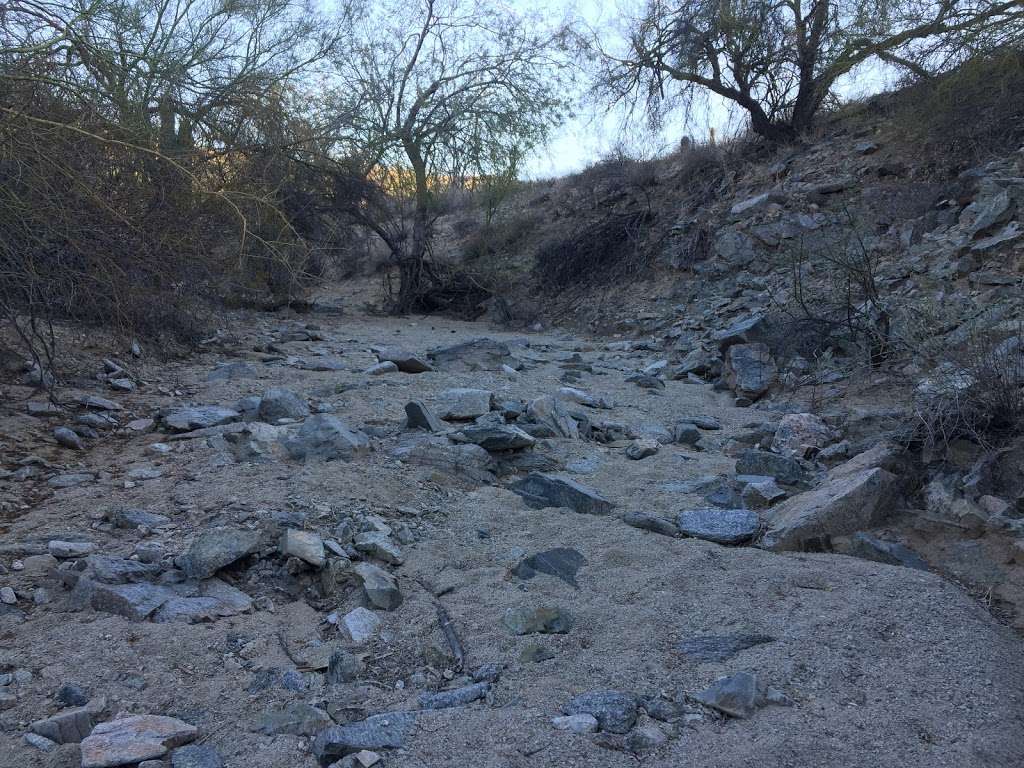 Javelina Canyon Trailhead | Javelina Trail, Phoenix, AZ 85042, USA