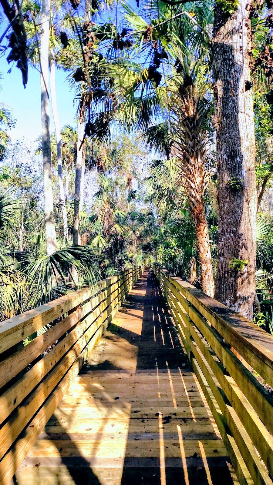 Black Hammock Wilderness Area | 3276 Howard Ave, Oviedo, FL 32765 | Phone: (407) 349-0769