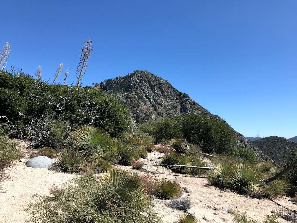 Strawberry peak west ridge | Colby Cyn Trail, Palmdale, CA 93550, USA