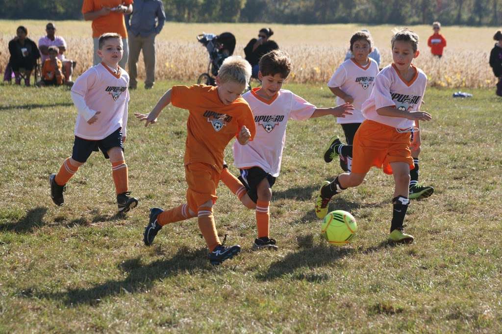 Upward Sports League of Winchester | 2080 N Frederick Pike, Winchester, VA 22603, USA | Phone: (540) 667-8017