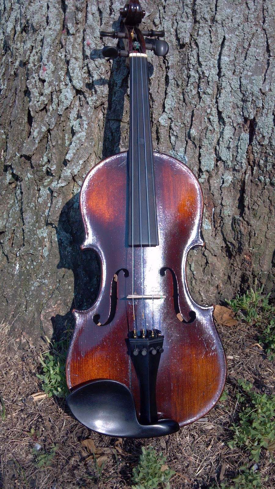 Irish Fiddle Lessons and Performance - The Sasanach | 19 Frelen Rd #1610, York, PA 17404, USA | Phone: (717) 870-2349