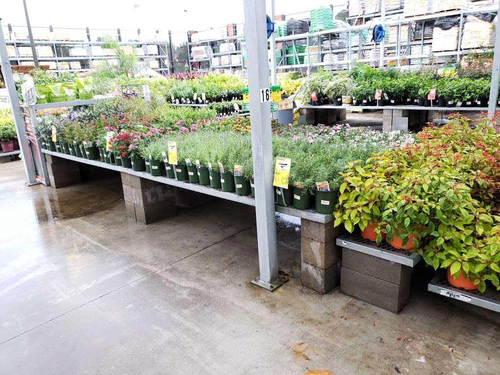 Garden Center at The Home Depot | 8400 Katy Fwy, Houston, TX 77024, USA | Phone: (713) 984-2741