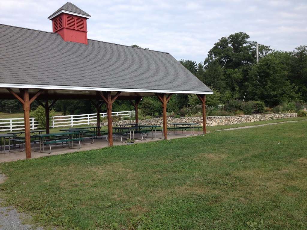 golden ridge farm walpole ma