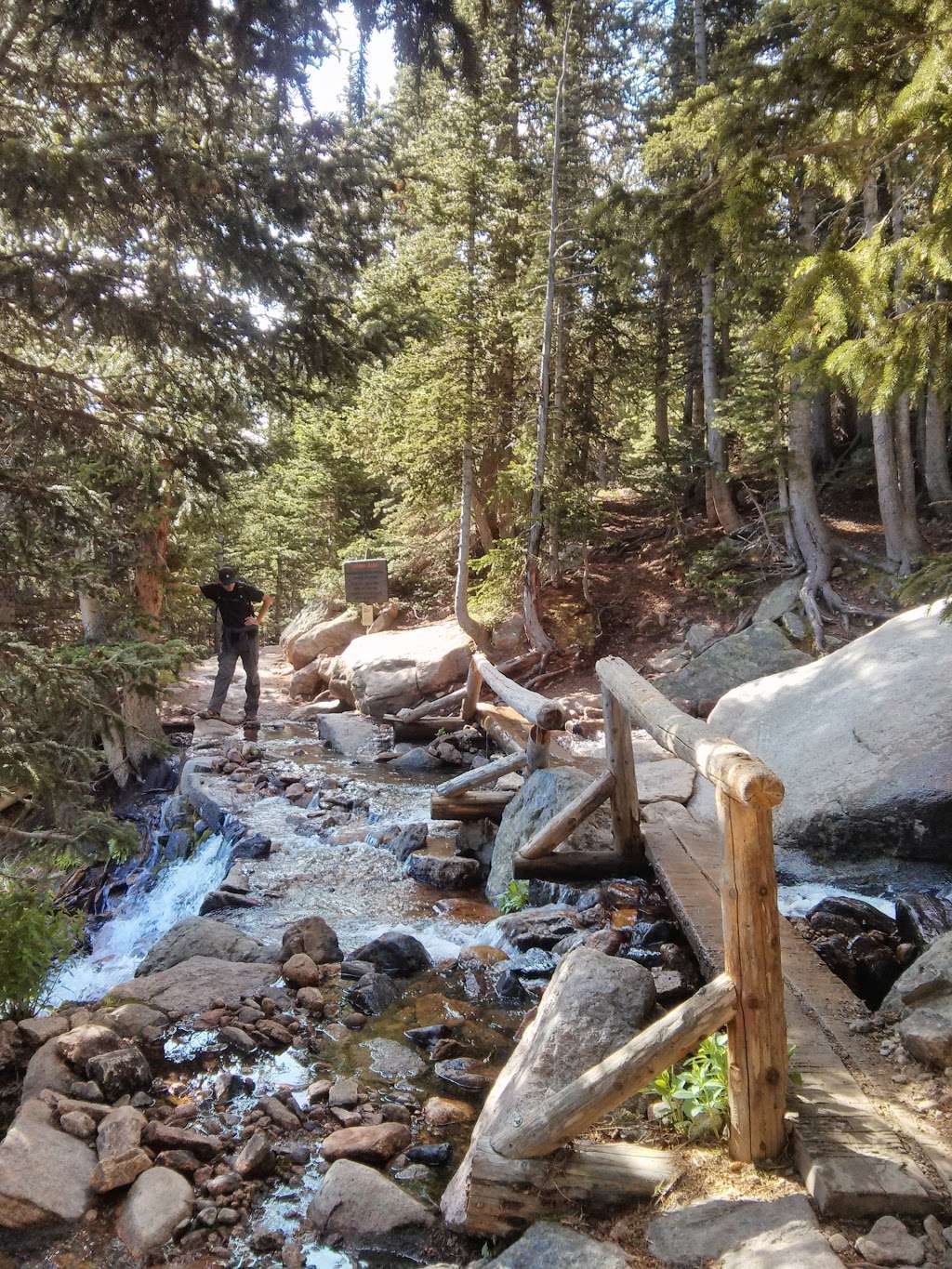 Goblins Forest | Estes Park, CO 80517, USA