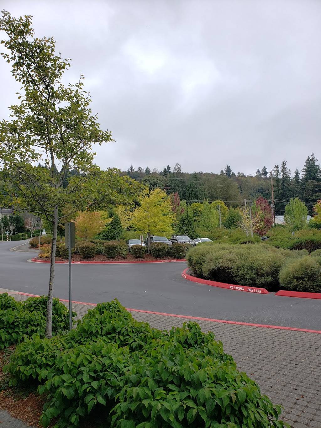 Lewis Creek Park Visitor Center | 5808 Lakemont Blvd SE, Bellevue, WA 98006, USA | Phone: (425) 452-4195