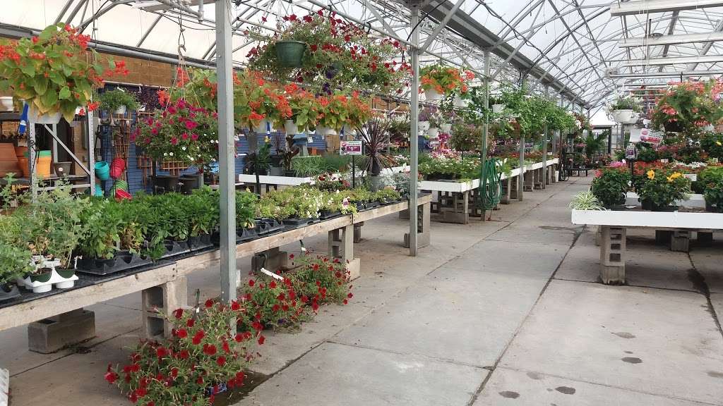 Saunoris Garden Center | 6000 W 111th St, Chicago Ridge, IL 60415 | Phone: (708) 422-7272