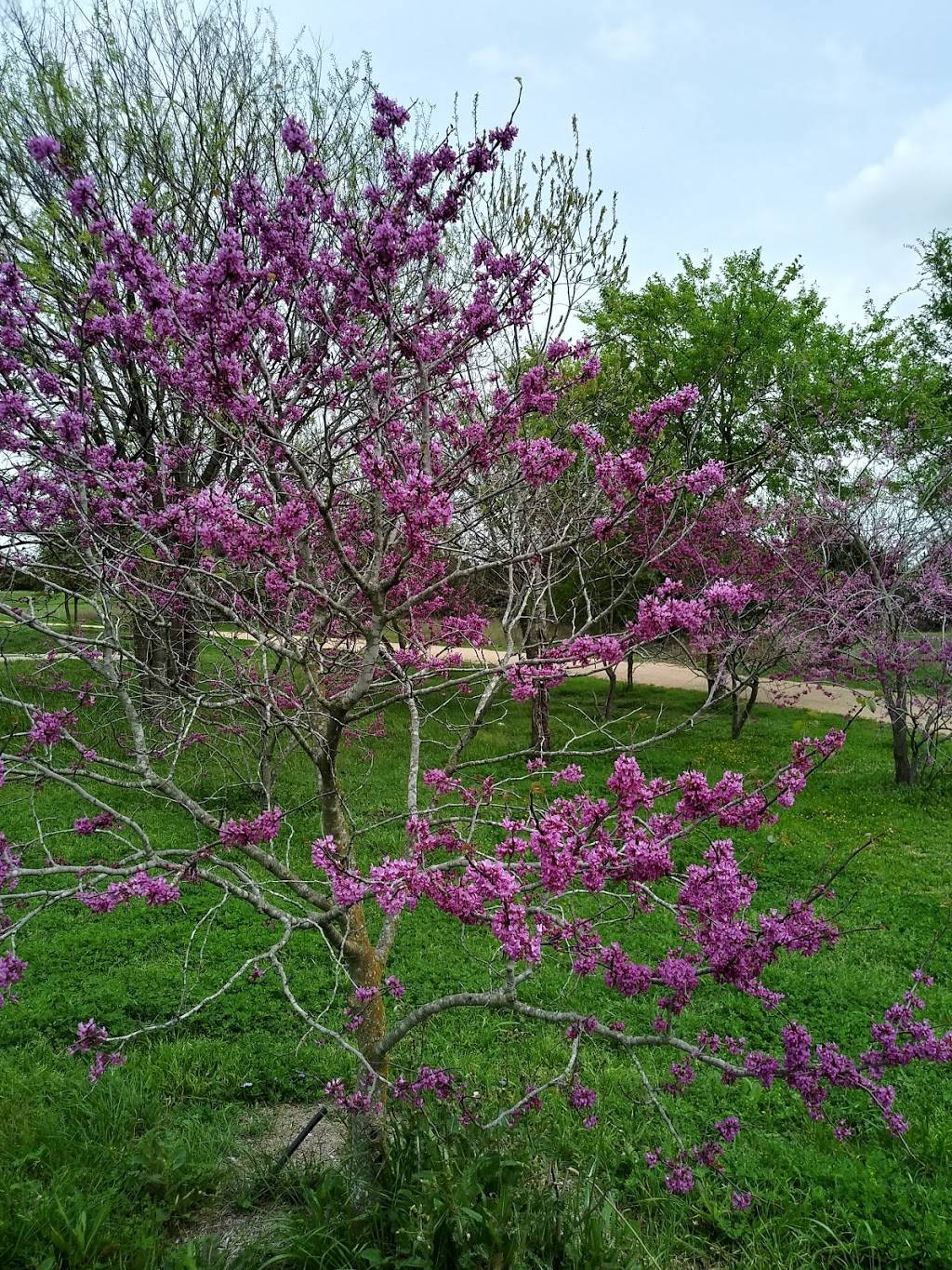 Gustavo "Gus" L. Garcia District Park | 1201 E Rundberg Ln, Austin, TX 78753, USA | Phone: (512) 978-2525